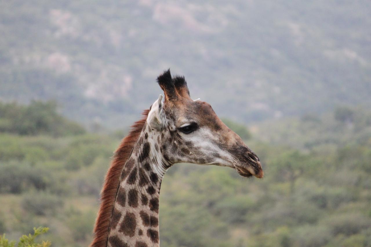Aha Bongani Mountain Lodge Luphisi Екстериор снимка